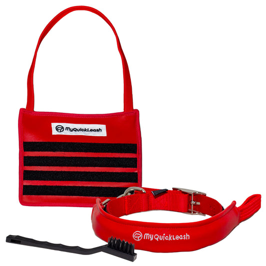 Launch Bundle - MyQuickLeash, Headrest Mount & Brush